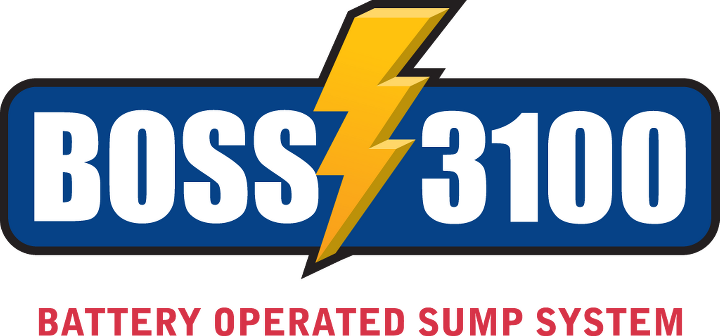 Logo Boss 3100